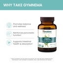 himalaya-organic-gymnema-sylvestre-herba-5.jpg
