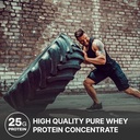 nutrabio-classic-whey-protein-powder-ful-3.jpg