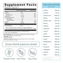 ancient-nutrition-grass-fed-whey-protein-3.jpg