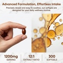 ceylon-cinnamon1200mg-extract-supplement-4.jpg