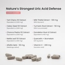 uric-acid-cleanse-gout-support-tart-cher-3.jpg