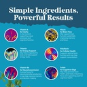 nootropic-brain-supplement-for-memory-an-6.jpg