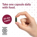 bariatric-advantage-ultra-solo-with-iron-6.jpg