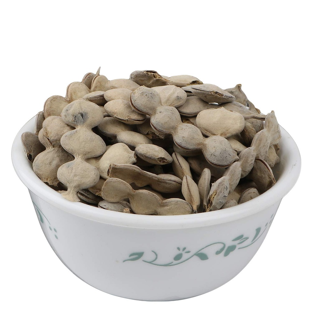yuvika-kikar-babool-phali-acacia-nolotic-3.jpg