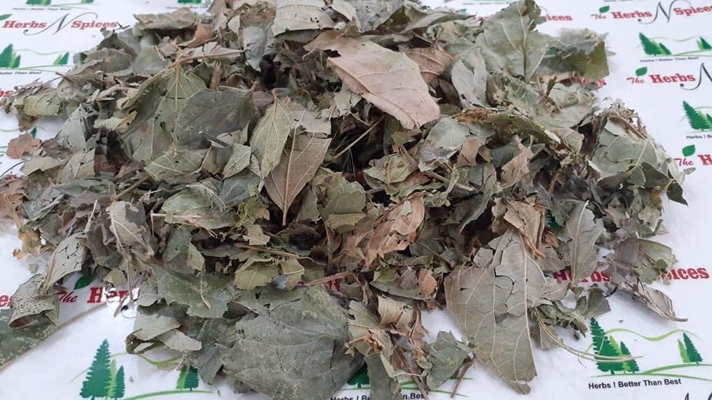 metrol-parijat-leaves-harsingar-leaves-p-2.jpg