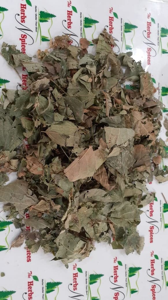 metrol-parijat-leaves-harsingar-leaves-p-3.jpg