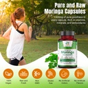 organic-aura-moringa-leaf-capsules-1500m-6.jpg