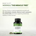 pure-moringa-capsules-for-women-men-120--3.jpg