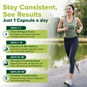 vahdam-moringa-capsules-1100mg-supports--4.jpg
