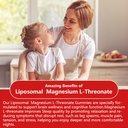 liposomal-magnesium-threonate-high-poten-6.jpg