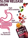 iron-supplement-for-women-men-high-poten-4.jpg