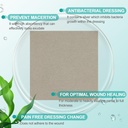 dimora-upgrade-silver-calcium-alginate-w-6.jpg