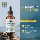 vykee-nutrition-vitamin-b2-riboflavin-dr-2.jpg