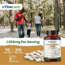 fineland-white-kidney-bean-extract-10-1--3.jpg