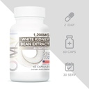 omvi-formulas-kidney-support-supplement--2.jpg