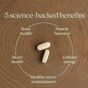 new-chapter-magnesium-complex-supplement-4.jpg