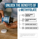 l-methylfolate-7-5mg-plus-methyl-b12-act-4.jpg