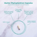 vegan-life-nutrition-marine-phytoplankto-2.jpg