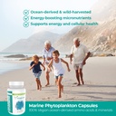 vegan-life-nutrition-marine-phytoplankto-3.jpg