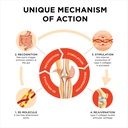 innovation-in-the-care-of-healthy-joints-6.jpg