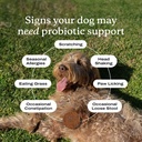 petlab-co-probiotics-for-dogs-support-gu-4.jpg