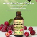 liposomal-berberine-liquid-drops-14-in-1-5.jpg