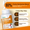 organic-glp-1-berberine-supplement-berbe-3.jpg