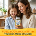 trueseamoss-irish-sea-moss-gummies-with--4.jpg