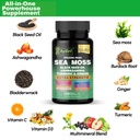 organic-irish-sea-moss-capsules-120-coun-2.jpg