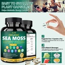bualle-irish-sea-moss-capsules-organic-s-6.jpg