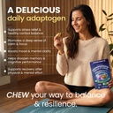youchews-ashwagandha-ksm-66-chews-for-st-3.jpg