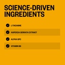 onnit-alpha-brain-instant-cognitive-supp-6.jpg