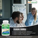 best-naturals-berberine-plus-1000-mg-ser-5.jpg