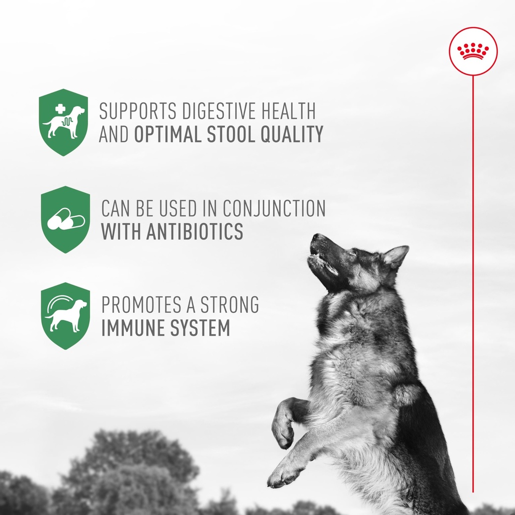 royal-canin-probiotics-for-dogs-digestiv-5.jpg