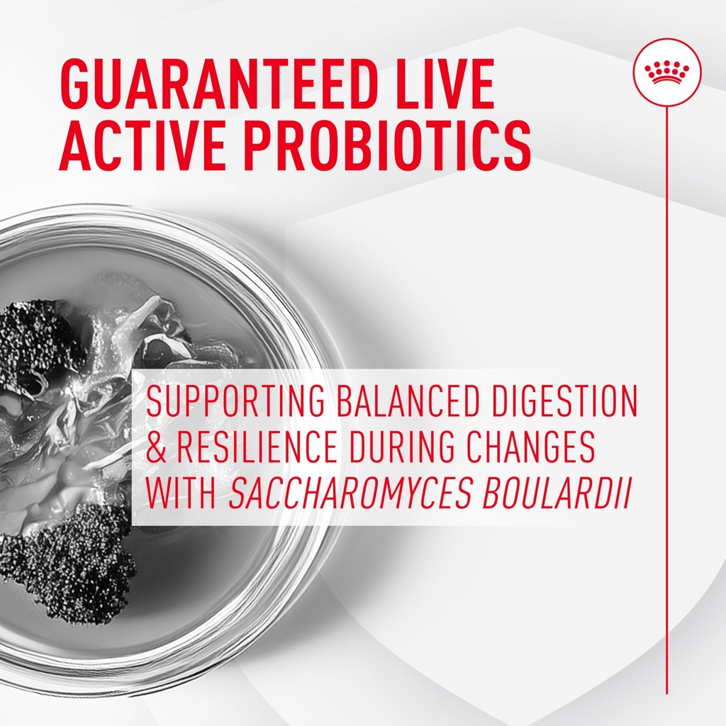 royal-canin-probiotics-for-dogs-digestiv-3.jpg