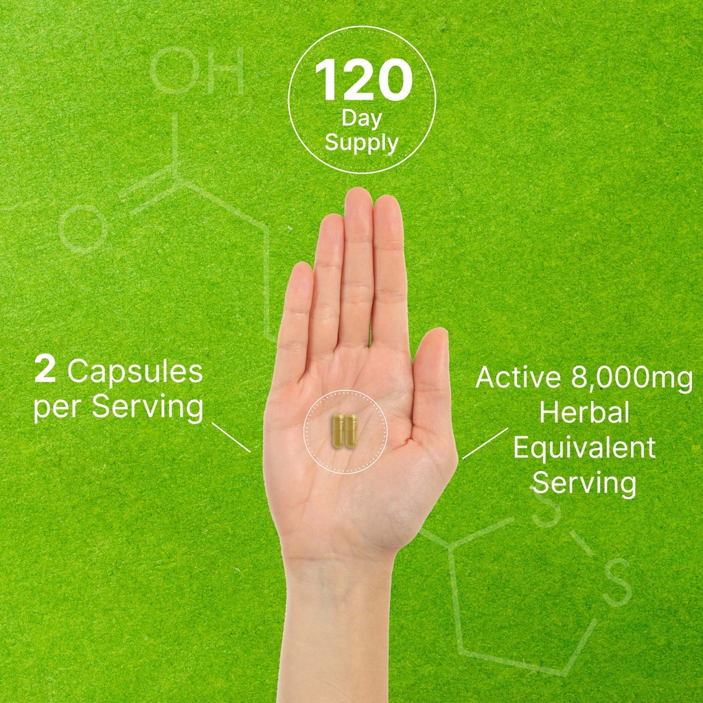 organic-10-in-1-mushroom-supplement-240--5.jpg