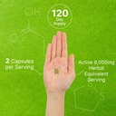 organic-10-in-1-mushroom-supplement-240--5.jpg