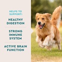 vetiq-multivitamin-supplement-for-dogs-s-3.jpg
