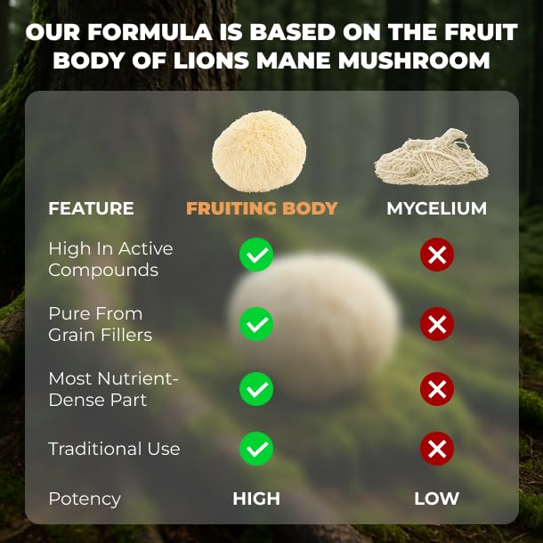 lions-mane-supplement-capsules-mushroom--5.jpg