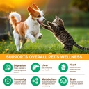 mushroom-supplement-powder-for-dogs-cats-3.jpg