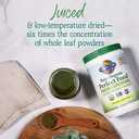 garden-of-life-super-greens-powder-smoot-4.jpg