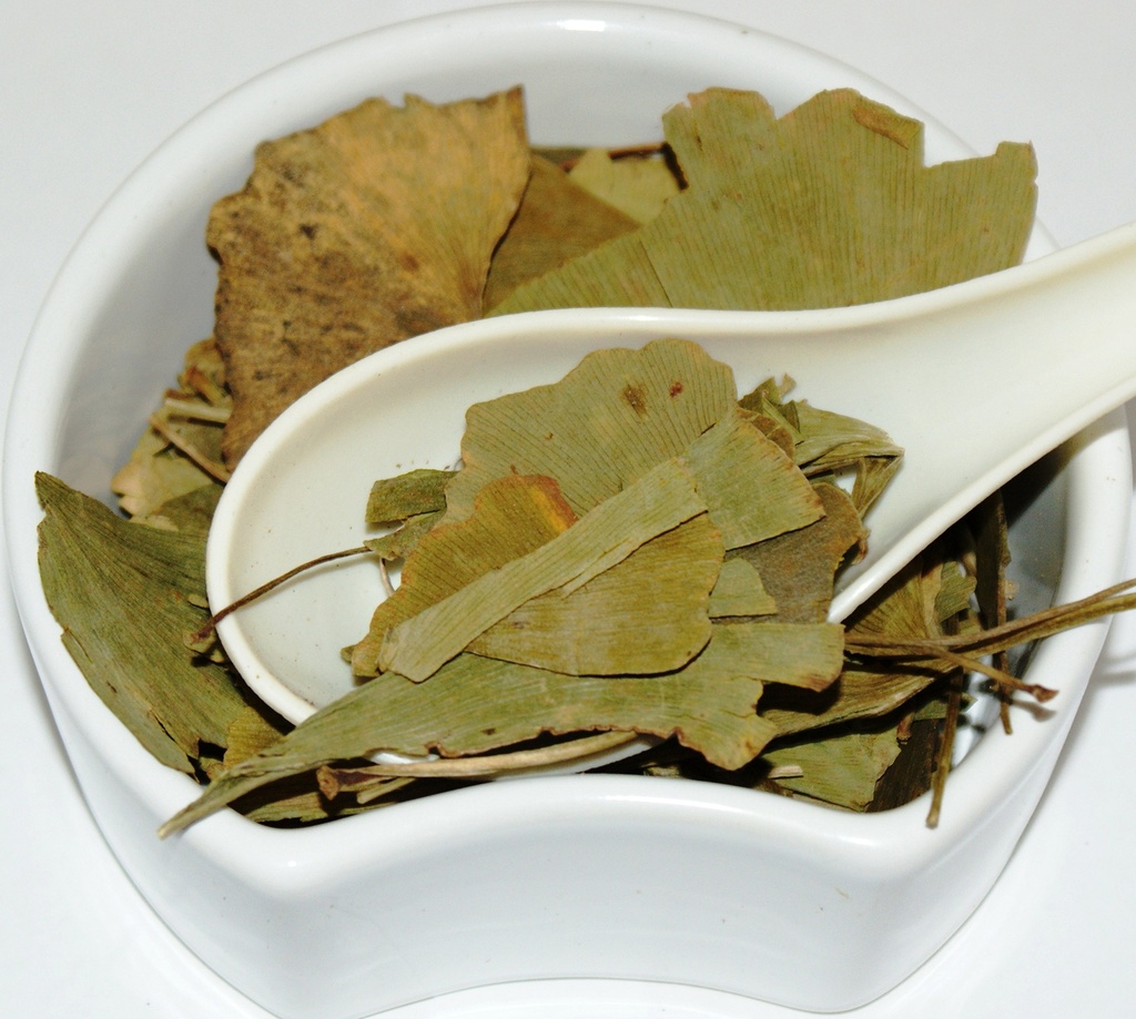 herba-organica-ginkgo-biloba-leaf-ginkgo-2.jpg