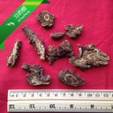 xyp-qianghuo-qiang-huo-100gram-5.jpg