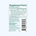 love-wellness-big-brain-probiotics-nootr-6.jpg
