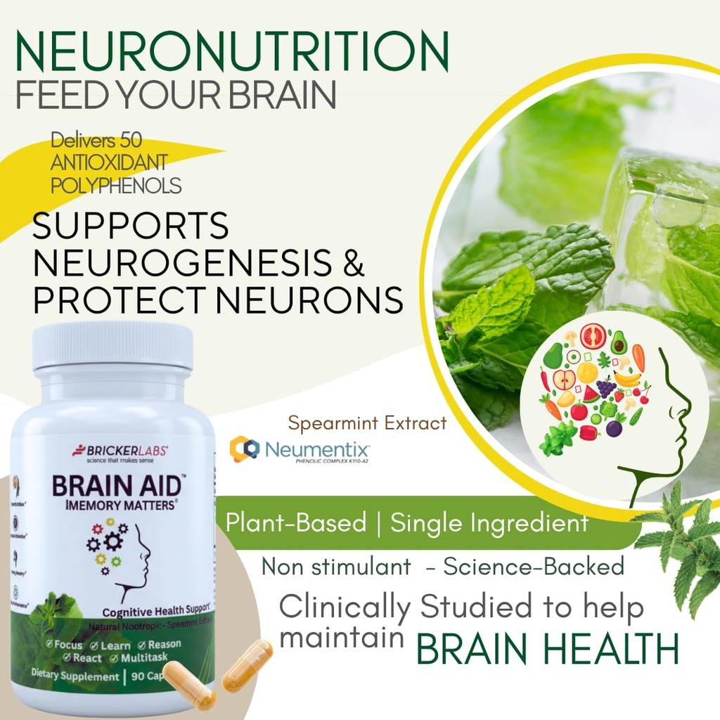 bricker-labs-brain-aid-memory-matters-no-4.jpg