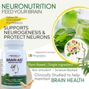 bricker-labs-brain-aid-memory-matters-no-4.jpg
