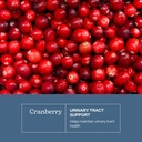 eclectic-herb-premium-freeze-dried-cranb-3.jpg