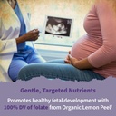 garden-of-life-organics-prenatal-vitamin-4.jpg