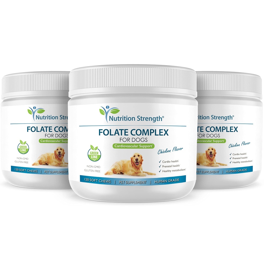 folate-for-dogs-to-promote-cardiovascula-5.jpg