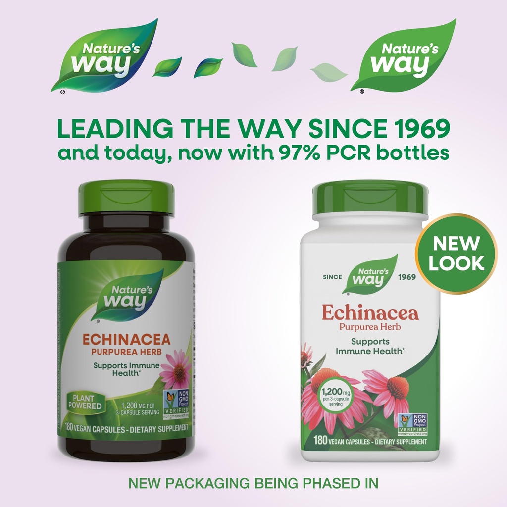 nature-s-way-echinacea-purpurea-herb-imm-2.jpg